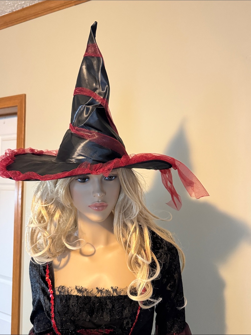 Women's Black and Burgundy Witch Costume Dress with Matching Hat - Picture 7 of 7